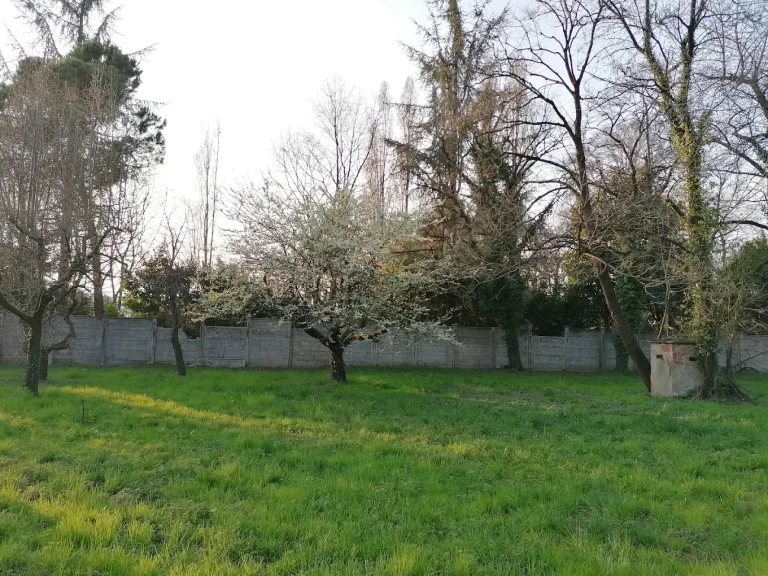 Asilo per cani amici di Ceci