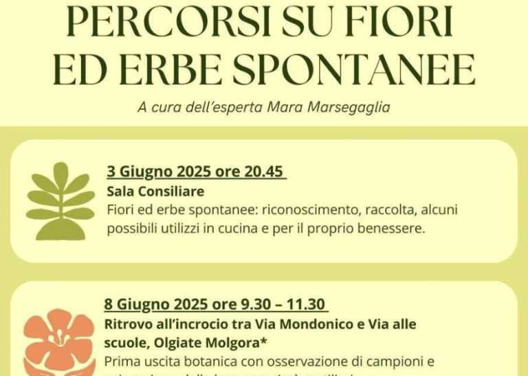 Percorsi su fiori ed erbe spontanee