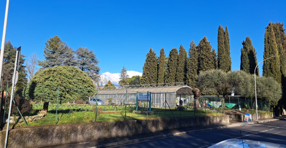 Azienda Agricola ALAN