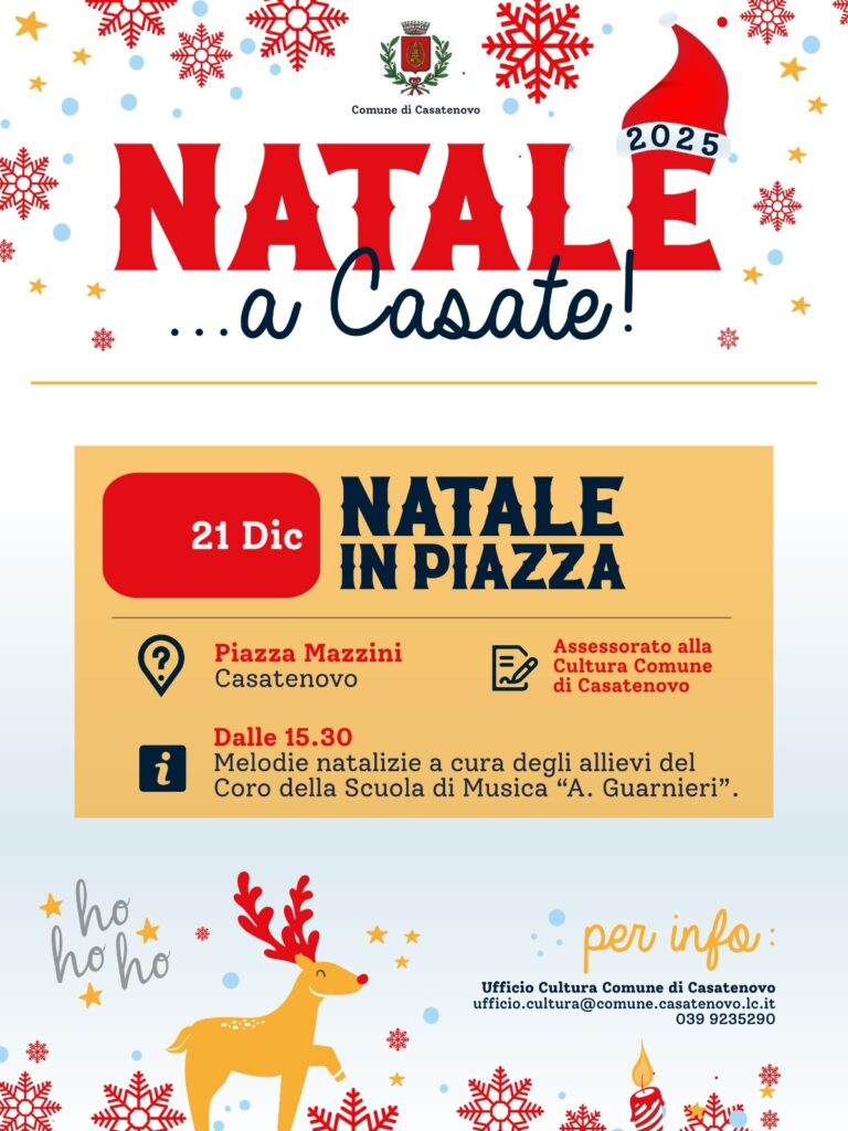 Natale in piazza