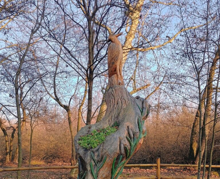 Merate – P5 – Giro Esterno Lago di Sartirana