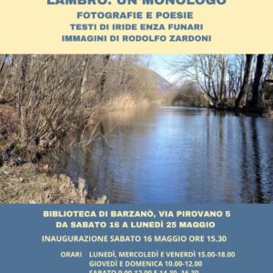 Mostra organizzata in occasione del Barzanò Book Festival
